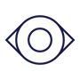 Icon eye 2x